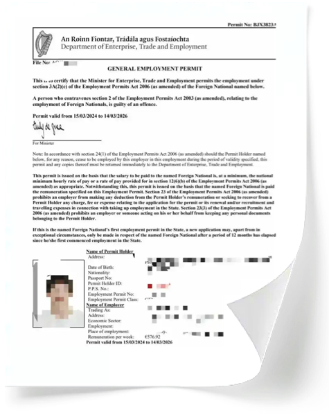 爱尔兰签证示例